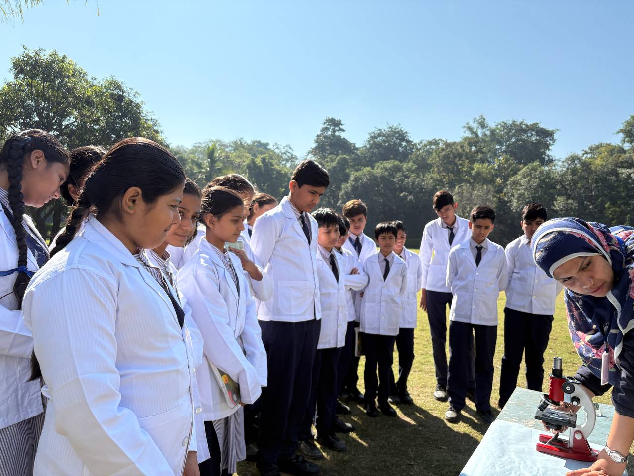 Science fair experiments and models